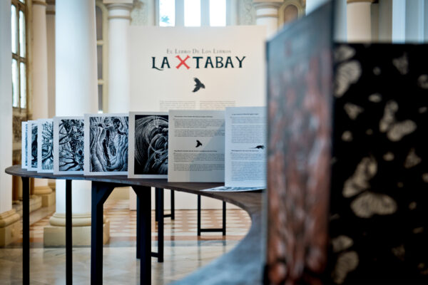 LA X’TABAY: EL LIBRO DE LOS LIBROS • THE X’TABAY: THE BOOK OF BOOKS, Concertina