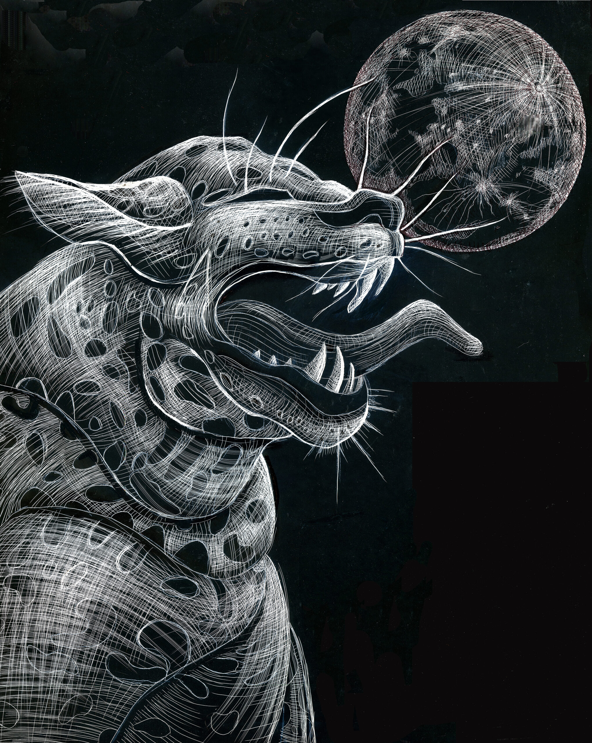 Jaguar y Luna:Jaguar and Moon